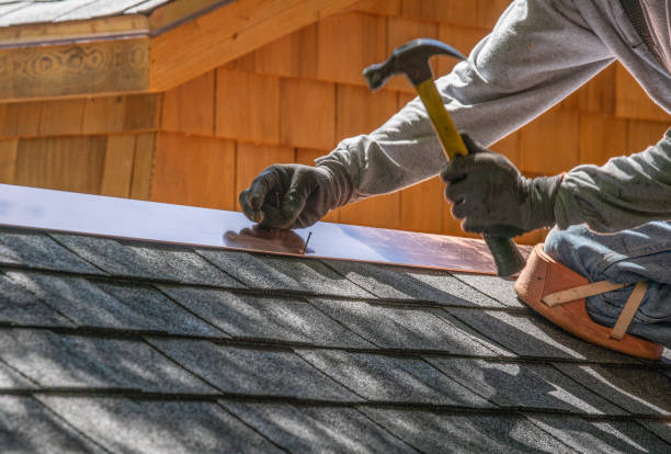 Best Green or Eco-Friendly Roofing Solutions  in Nicollet, MN