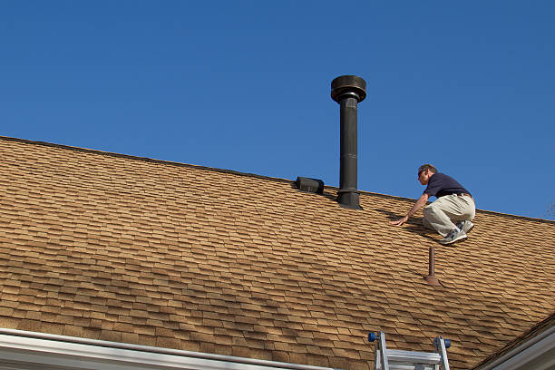Best Asphalt Shingle Roofing  in Nicollet, MN